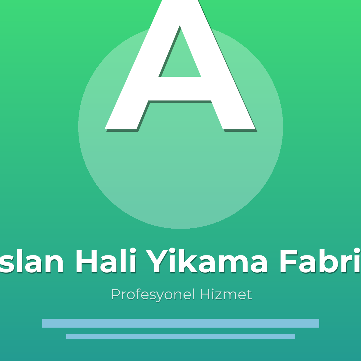 Aslan Hali Yikama Fabrikasi