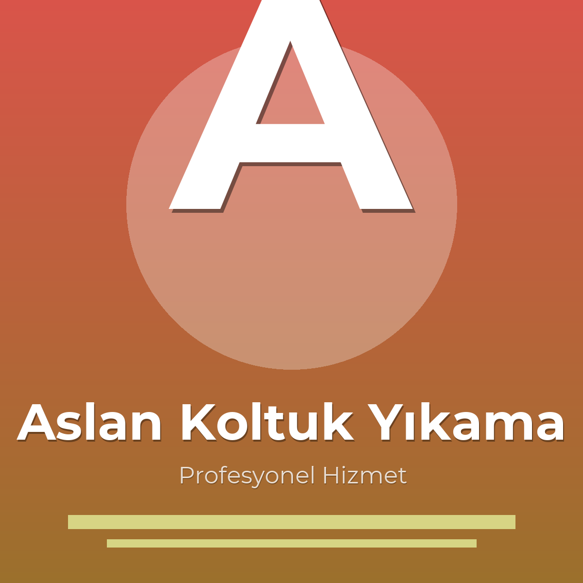 Aslan Koltuk Yıkama