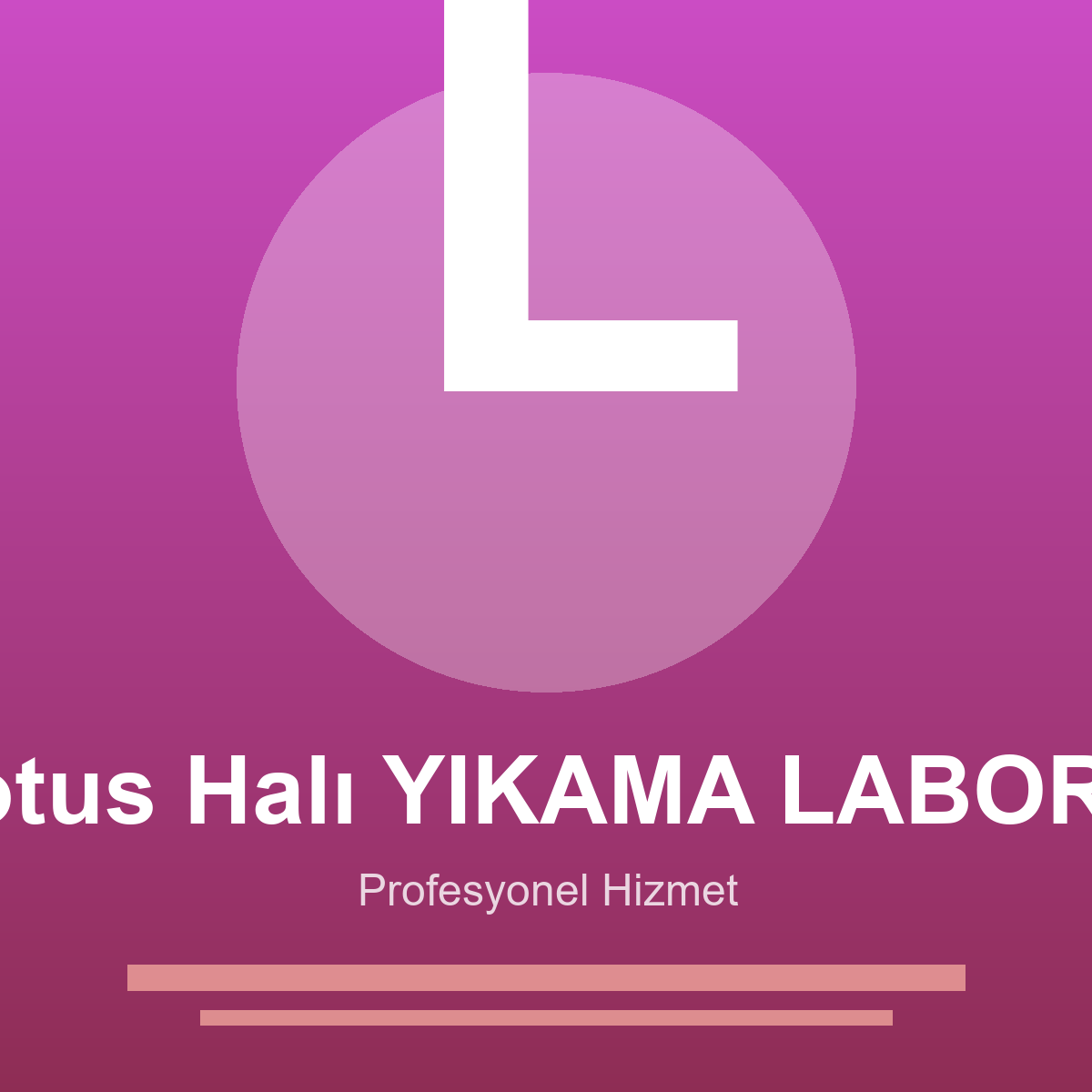 Lotus Halı Yıkama Laboratuarı