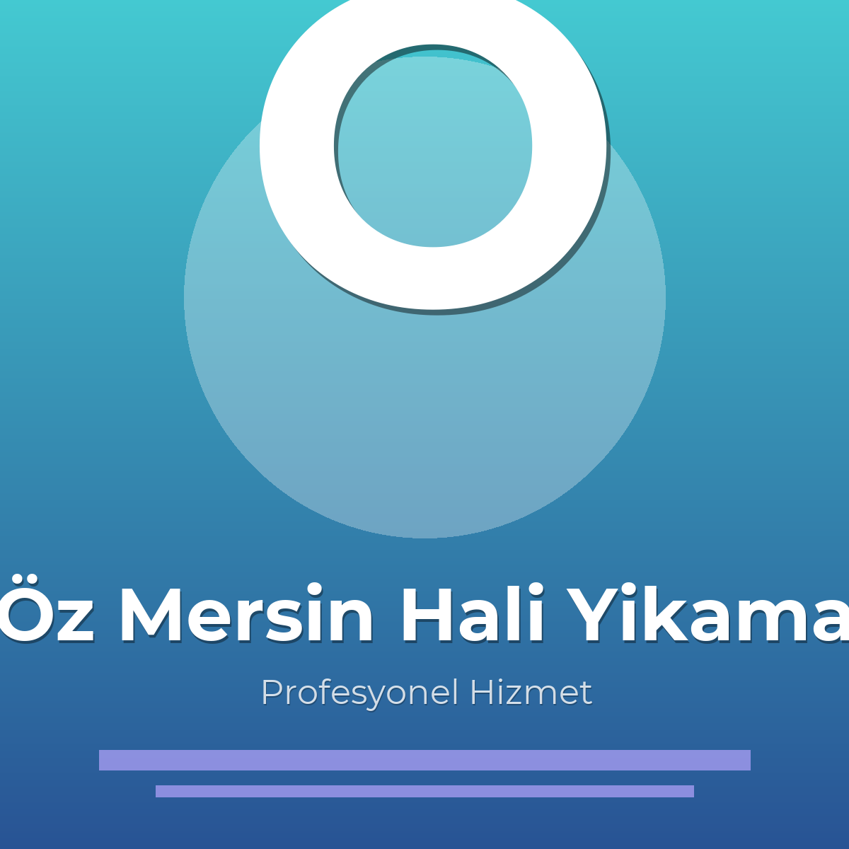Öz Mersin Hali Yikama