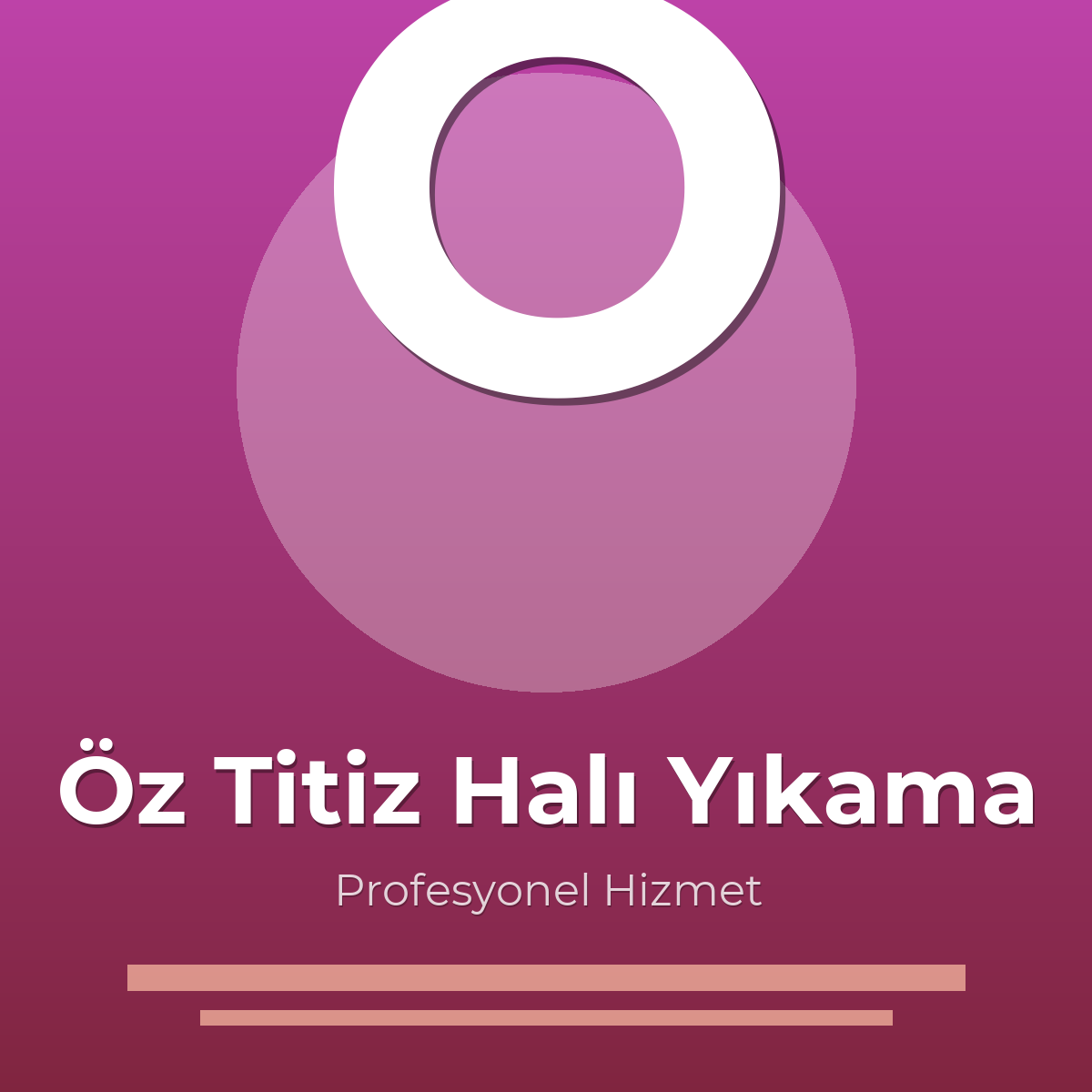 Öz Titiz Halı Yıkama