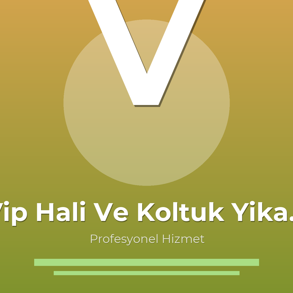 Vip Hali Ve Koltuk Yikama